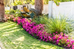Landscape Contractors